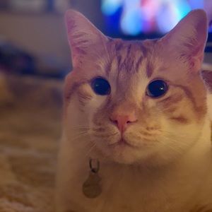 Meet your Posher, Ethan